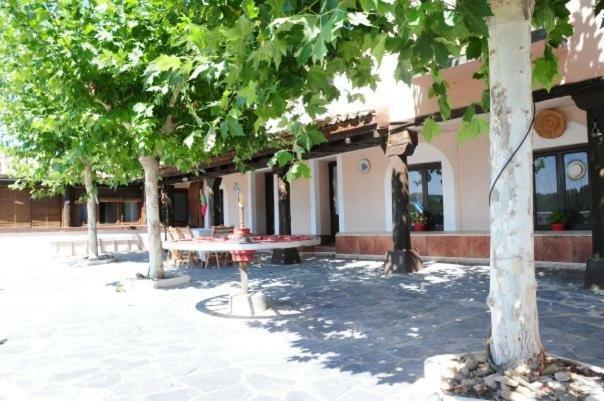 La Huerta Del Rivero San Esteban De Gormaz Bagian luar foto